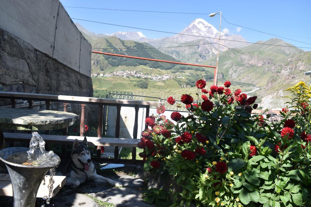 Qusha Guesthouse Meeting In The Mountains And Views Stepantsminda Exterior photo
